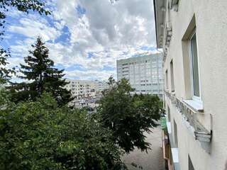 Апартаменты Lenin Square 1 Барановичи Апартаменты с 1 спальней-50